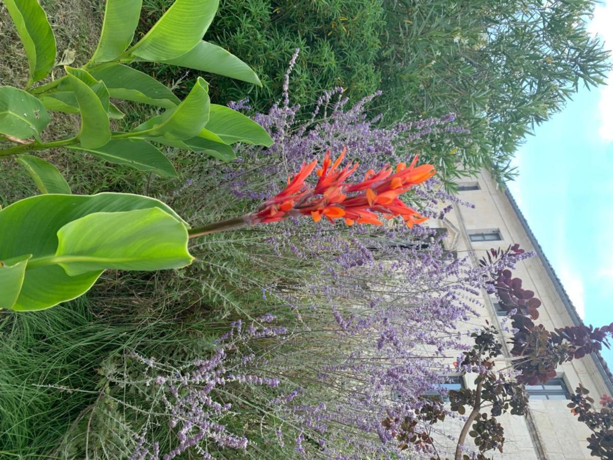 Domaine Terroceane Hotel La-Gripperie-Saint-Symphorien Екстериор снимка
