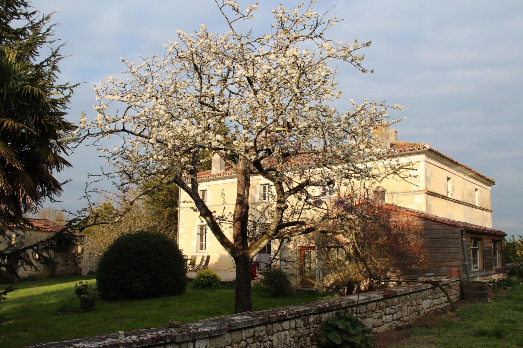 Domaine Terroceane Hotel La-Gripperie-Saint-Symphorien Екстериор снимка