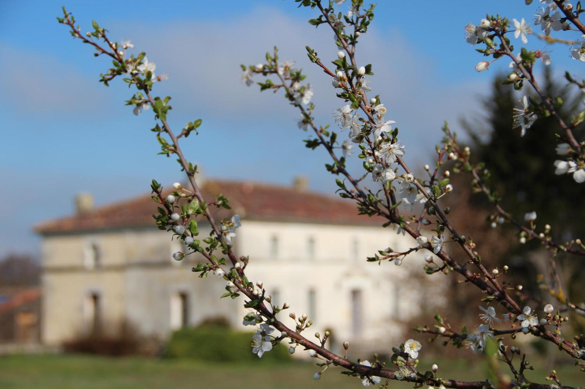 Domaine Terroceane Hotel La-Gripperie-Saint-Symphorien Екстериор снимка