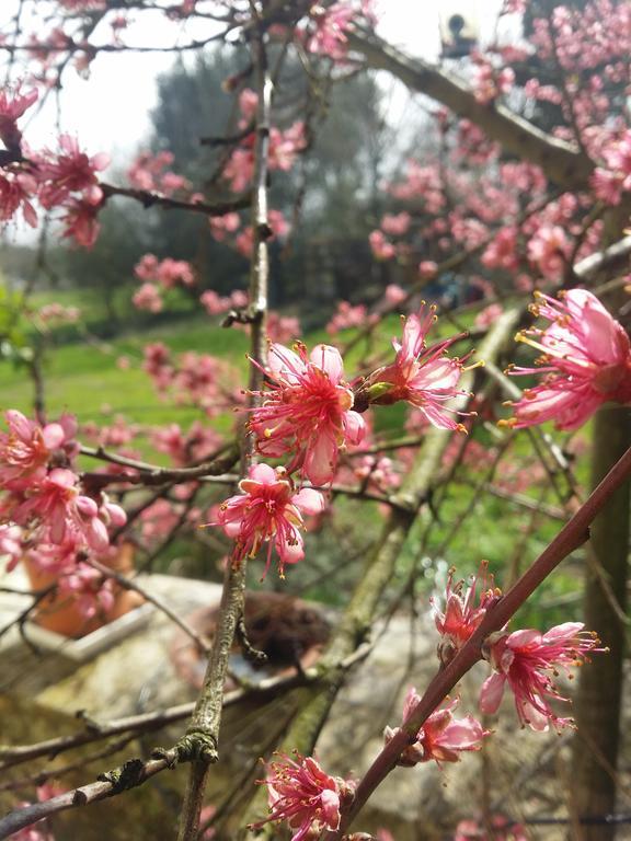 Domaine Terroceane Hotel La-Gripperie-Saint-Symphorien Екстериор снимка