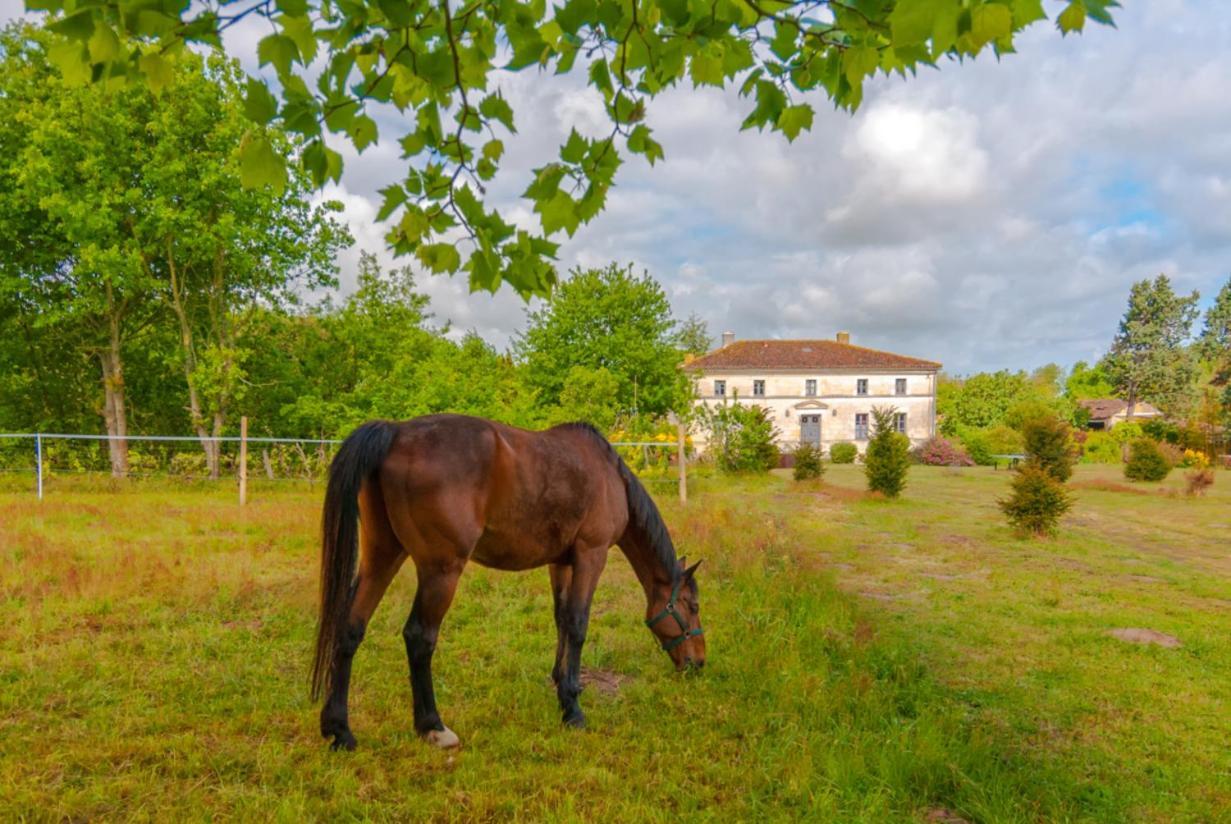 Domaine Terroceane Hotel La-Gripperie-Saint-Symphorien Екстериор снимка